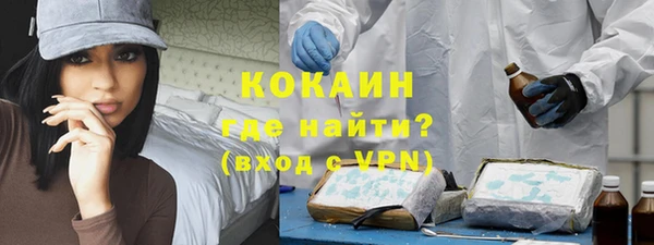 сатива Беломорск