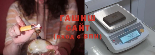 сатива Беломорск