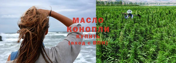 сатива Беломорск