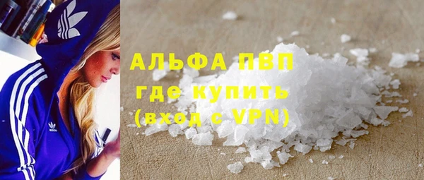 сатива Беломорск