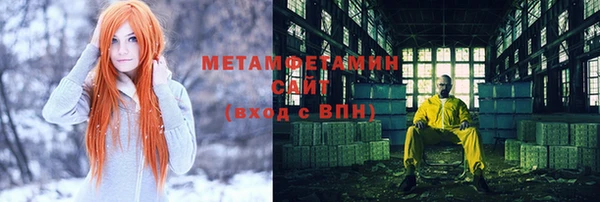 сатива Беломорск