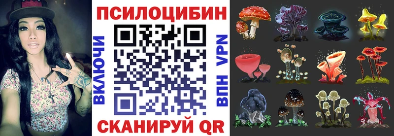 Псилоцибиновые грибы Magic Shrooms  Волжск 