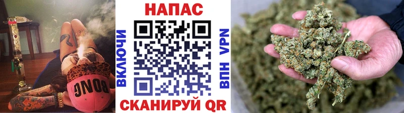 Каннабис сатива Волжск